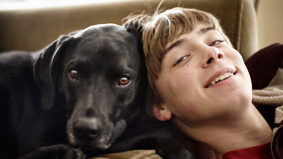 Verändern Hunde die Mundflora ihrer menschlichen Besitzer?