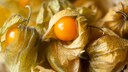 Physalis sieht der giftigen Lampionblume sehr &auml;hnlich und zu viel essen ist giftig.