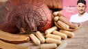 Vitalpilze wie der abgebildete Reishi werden seit Jahrhunderten genutzt. Auch die Forschung interessiert sich f&uuml;r ihre m&ouml;gliche WirkuVitalpilze wie der abgebildete Reishi werden seit Jahrhunderten genutzt. Auch die Forschung interessiert sich f&uuml;r ihre m&ouml;gliche Wirkung.