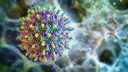 Das Nipah-Virus gilt als selten, kann aber schwere Erkrankungen ausl&ouml;sen.