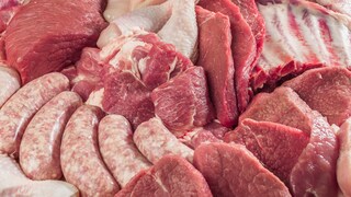 Welche Rolle spielt Fleisch für die geistige Gesundheit?