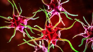 Tödliche Virusinfektion bei Geflügel sorgt für Alarm. Symptome, Übertragung und Folgen im kompakten Überblick.