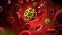 Norovirus infection. Computer artwork of norovirus particles in the bloodstream.