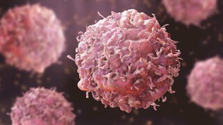 Der Trauschein ist laut einer großen US-Datenanalyse ein Symptom für gesundheitliche Unterschiede