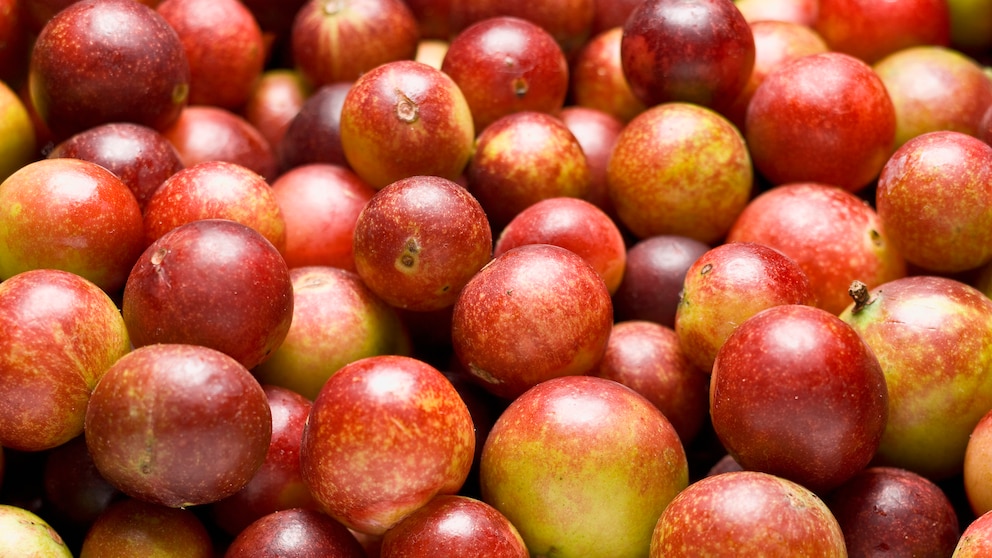 Camu-Camu