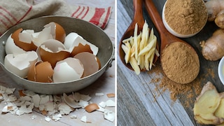 Supplements selbst machen