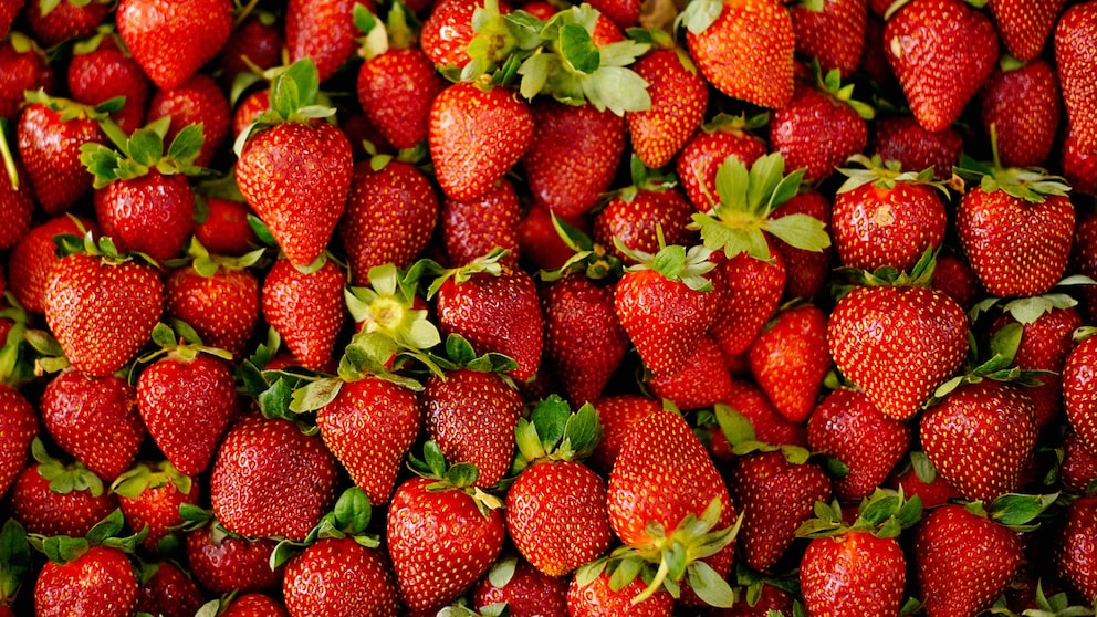 Erbeeren sind Nüsse und bringen auch gesundheitliche EIgenschaften der Nuss-Familie mit.