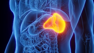 Leberfibrose und Alkohol