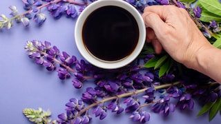 Kaffee und Lupinen
