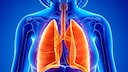 Forscher gehen der Frage nach, welchen Einfluss Ern&auml;hrung auf Asthma bei Kindern haben k&ouml;nnte.