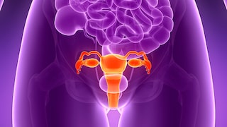 Uterus