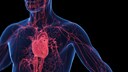Hochverarbeitete Lebensmittel Blut