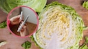 Der Salat mit Kohl, Gurke und Avocado soll &auml;hnlich s&auml;ttigen wie Ozempic. Was an dem Trend tats&auml;chlich dran ist.