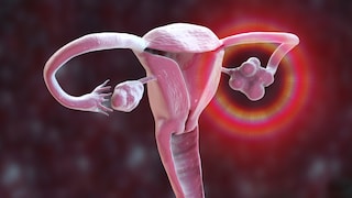 Eierstöcke übernehmen ab der Menopause eine andere wichtige Funktion