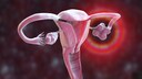 Eierst&ouml;cke &uuml;bernehmen ab der Menopause eine andere wichtige Funktion