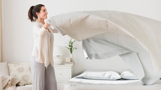 Mikrobiologin erklärt, dass Hunde nicht ins Bett dürfen