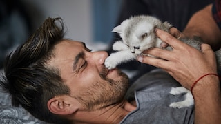 Kuscheln Sie gern mit Ihrer Katze?
