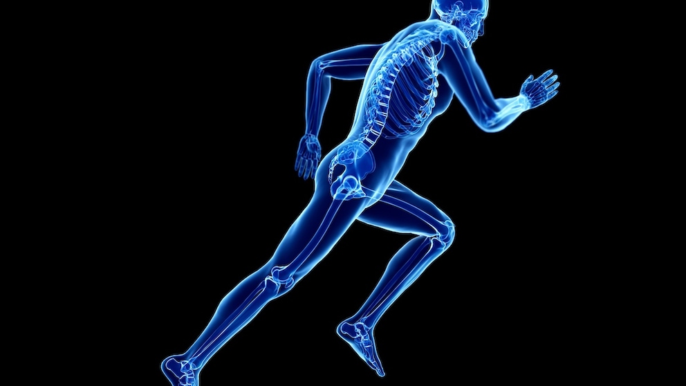 Welche Trainingsformen sind besonders gut für die Knochen?