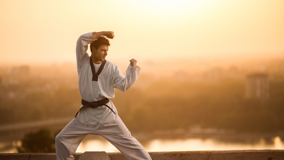 Sowohl hohe Sprünge als auch präzise Tritte, wie der Kung-Fu-Flugsprung (Jump Front Kick), verlangen Disziplin, Kraft und ausdauerndes Training.