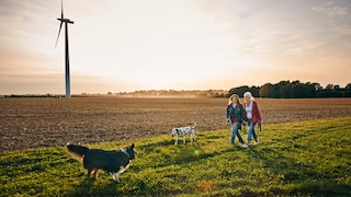 Spaziergängerinnen mit Hund auf Feld