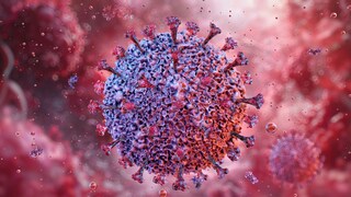 virus