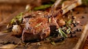 Es gibt wohl einen Zusammenhang zwischen rotem Fleisch und Diabetes
