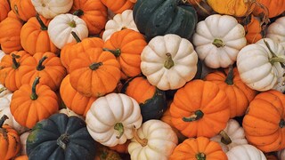 Kürbis eignet sich nicht nur zur Halloween-Deko, sondern auch hervorragend zum Abnehmen