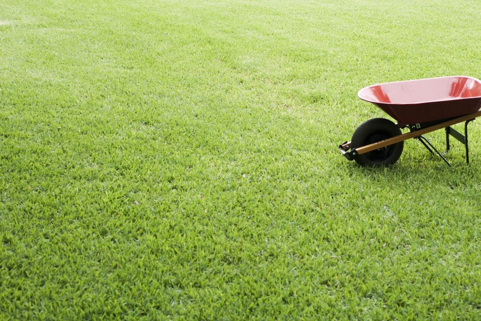 6 Tipps, um den Rasen richtig zu kalken myHOMEBOOK