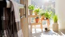 Indoor-Farming: Kräuterecke in der Küche