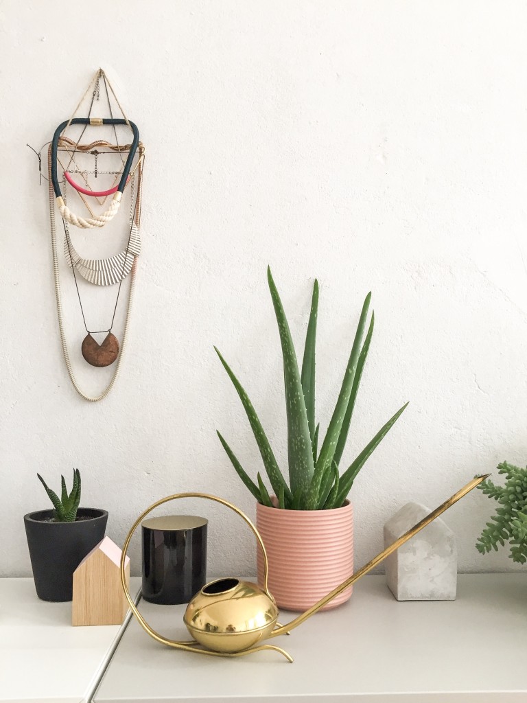 Easy-care houseplants: Aloe Vera: