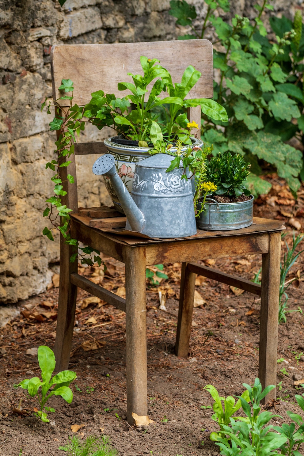 Eine alte Gießkanne oder Vase als Pflanzgefäße setzen Akzente im Garten
