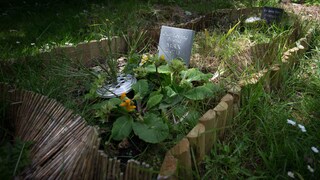 Hundegrab im Garten