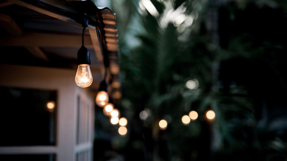 Decorative outdoor string lights hanging on tree in a tropical garden