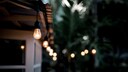 Decorative outdoor string lights hanging on tree in a tropical garden