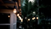 Decorative outdoor string lights hanging on tree in a tropical garden