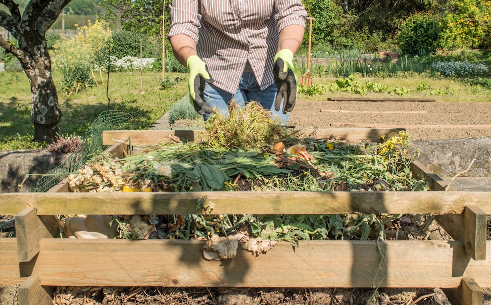 Komposthaufen im Garten