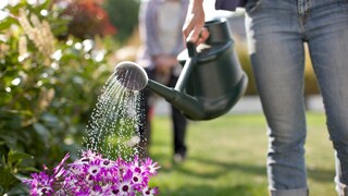 Frau gießt Pflanzen im Garten