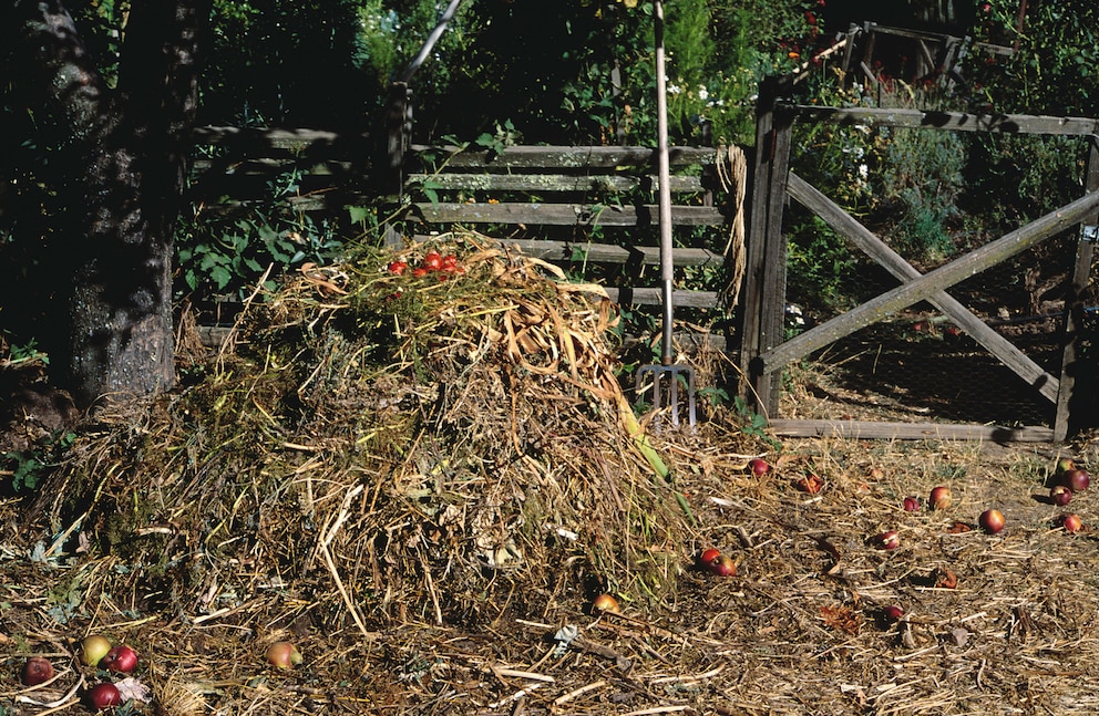 Abstand zum Nachbarn ist wichtig 