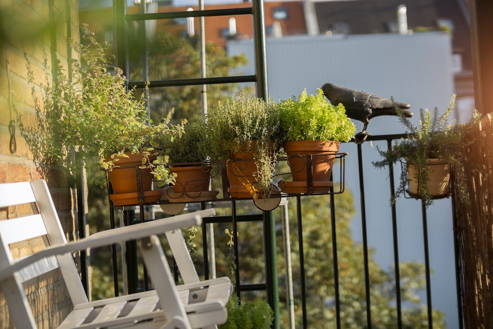 Kräuter können auf dem Balkon auch in Töpfen angepflanzt werden.