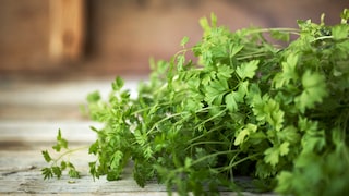 Ab wann Sie Petersilie im Garten oder auf dem Balkon aussäen sollten
