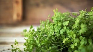 Ab wann Sie Petersilie im Garten oder auf dem Balkon aussäen sollten