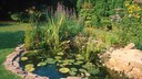 Gartenteich richtig anlegen