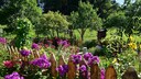 Tipps f&uuml;r die Pflege eines Gartenzauns