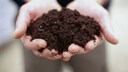 In einem Gramm Erdboden leben mehr Mikroorganismen, als es Menschen auf der Welt gibt