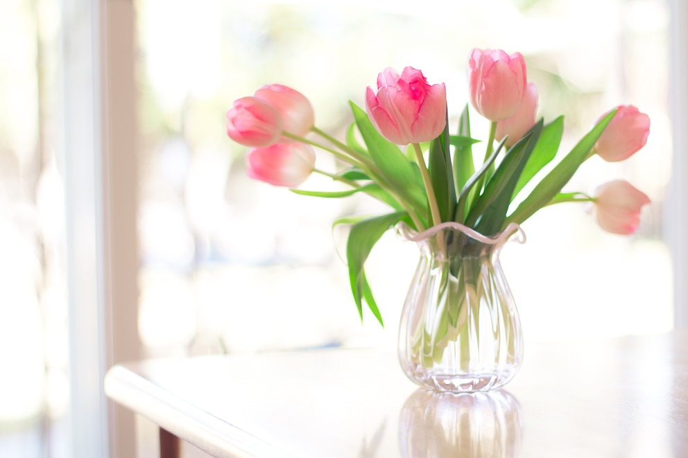 Tulpenstrauß in Blumenvase an den richtigen Standort stellen