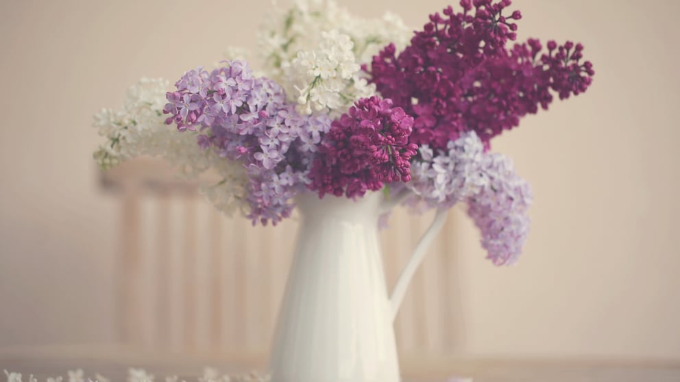 Weiße, violette und lilafarbene Fliederzweige befinden sich in einer weißen Blumenvase