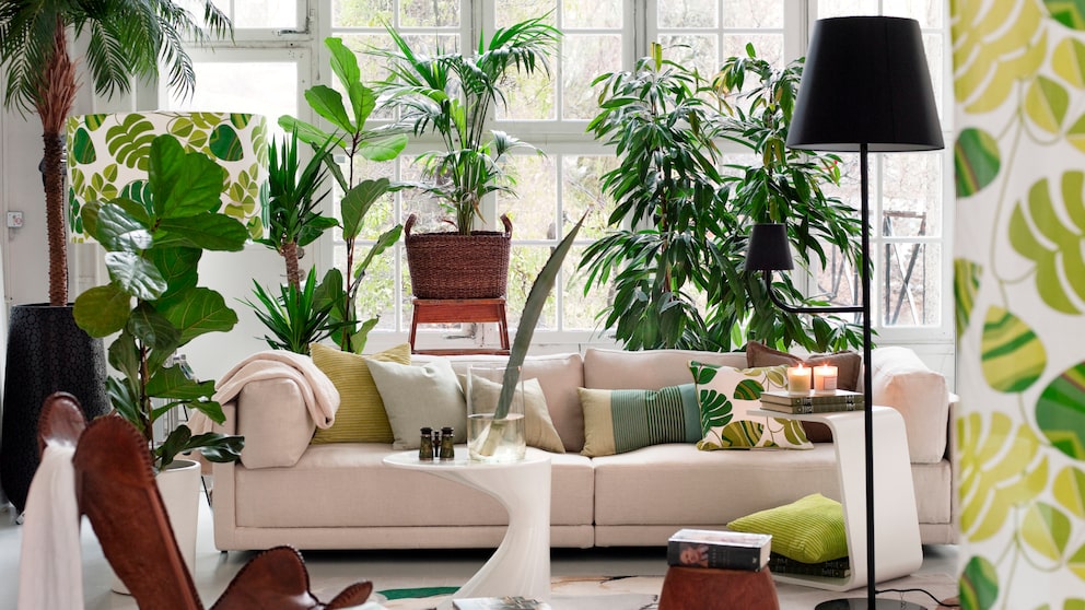 Wohnzimmer mit vielen Grünpflanzen im „Urban Jungle“-Trend gestaltet