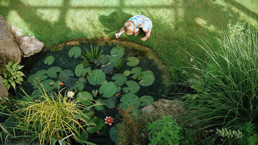 Eigentümer müssen ihren Gartenteich oder ihre Regentonne ausreichend sichern