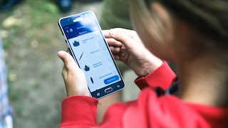 Mit der App «Naturblick» kann man unter anderem mit Angaben zur Form der Blätter Baumarten bestimmen.