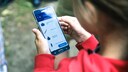 Mit der App «Naturblick» kann man unter anderem mit Angaben zur Form der Blätter Baumarten bestimmen.